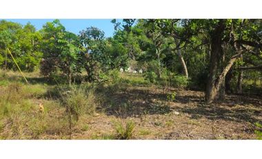 VENDO LOTE DE 1200 EN ALGARROBOS