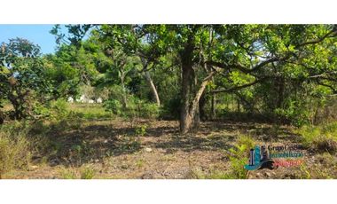 VENDO LOTE DE 1200 EN ALGARROBOS