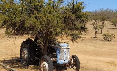Agrícola en Venta en Lagunillas