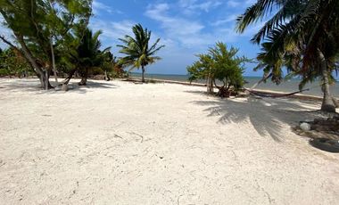 Terreno en venta frente a la playa en Mahahual, Quintana Roo