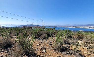 Terreno Construccion  en Venta en Avenida Los Héroes