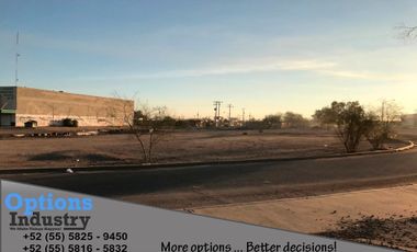 Land for sale & rent  Mexicali