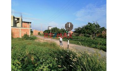 🌟 ¡Oportunidad Única para Inversionistas y Constructores! 🌟

Descubre el potencial de este magnífico terreno urbano situado en la codiciada ubicació