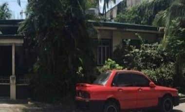 FOR SALE - Lot with old house in Katarungan st., Mandaluyong City