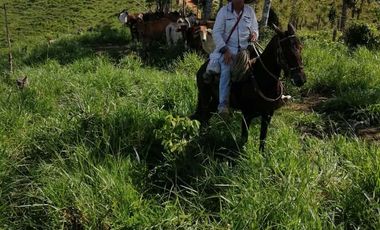 Finca en venta en Antioquia, San Roque