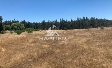 Agrícola en Venta en fundo el Hoyo, San Javier