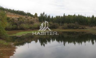 Agrícola en Venta en fundo el Hoyo, San Javier