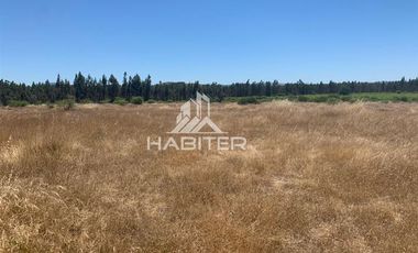 Agrícola en Venta en fundo el Hoyo, San Javier