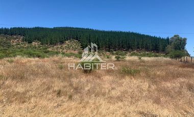 Agrícola en Venta en fundo el Hoyo, San Javier