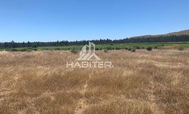 Agrícola en Venta en fundo el Hoyo, San Javier