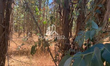 Agrícola en Venta en fundo el Hoyo, San Javier