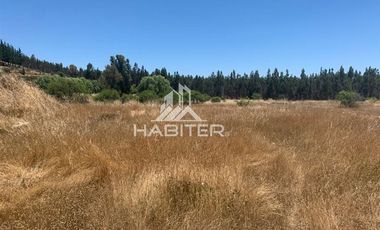 Agrícola en Venta en fundo el Hoyo, San Javier