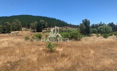 Agrícola en Venta en fundo el Hoyo, San Javier