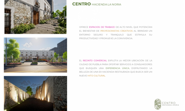 Local Pre Venta Hacienda La Noria Barrio Gastronómico Disponible 2