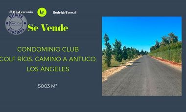 Parcela en Venta en Camino a Antuco