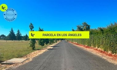 Parcela en Venta en Camino a Antuco