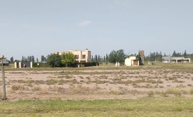 Terreno / Lote en venta de 1300m2 ubicado en San Rafael, Mendoza