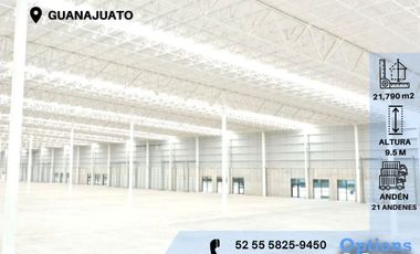 Rental of industrial space located in Guanajuato
