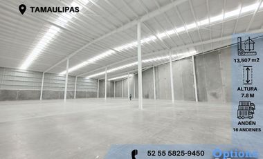 Tamaulipas, area to rent industrial property