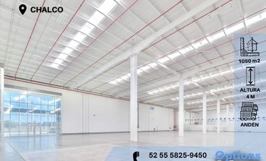 Warehouse rental opportunity in Chalco