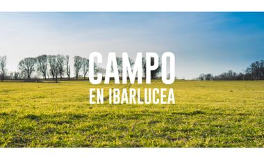 Campo 8,5HS en Ibarlucea