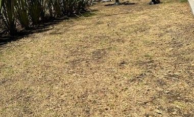 DEPARTAMENTO EN RENTA RANCHO BLANCO, JILOTZINGO ESTADO DE MEXICO