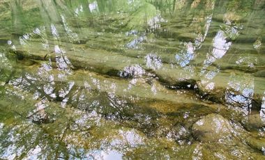 TERRENO CAMPESTRE - HACIENDA EL CIELO