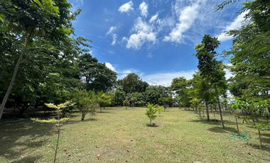 Land for sale in Chong Sarika, Lop Buri