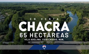 VENTA CHACRA 65 HECTÁREAS, CENTENARIO NEUQUEN