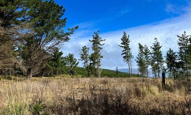 Sitio en Venta en Loteo Fundo Boyeruca, Boyeruca, Vichuquen