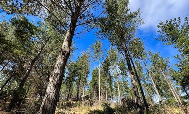 Sitio en Venta en Loteo Fundo Boyeruca, Boyeruca, Vichuquen