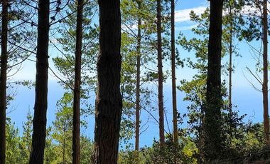 Sitio en Venta en Loteo Fundo Boyeruca, Boyeruca, Vichuquen
