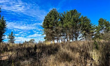 Sitio en Venta en Loteo Fundo Boyeruca, Boyeruca, Vichuquen
