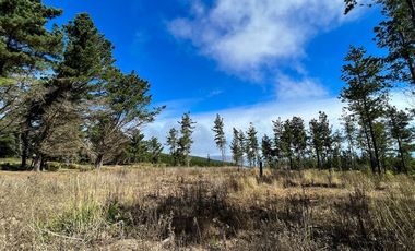 Sitio en Venta en Loteo Fundo Boyeruca, Boyeruca, Vichuquen