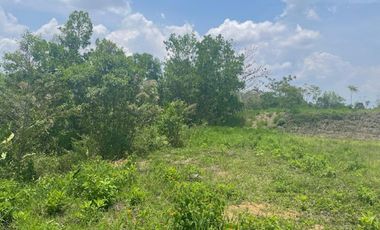 VENTA de LOTES en PEREIRA