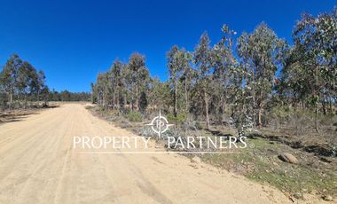 Tunquen, Proyecto Bosque Tunquen Venta Directa SIN COMISION