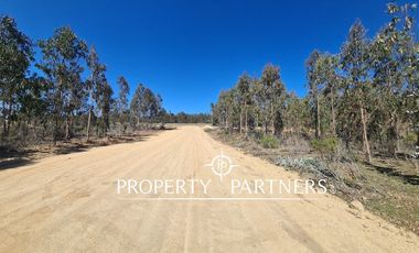 Tunquen, Proyecto Bosque Tunquen Venta Directa SIN COMISION