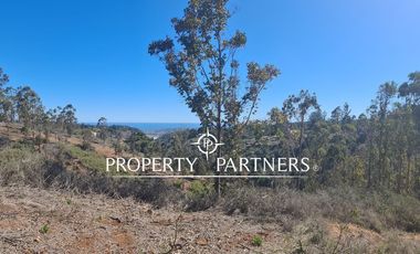 Tunquen, Proyecto Bosque Tunquen Venta Directa SIN COMISION