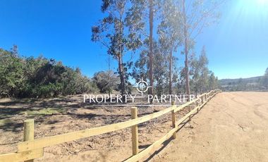 Tunquen, Proyecto Bosque Tunquen Venta Directa SIN COMISION