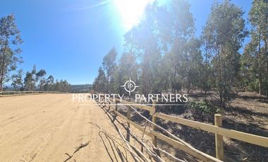 Tunquen, Proyecto Bosque Tunquen Venta Directa SIN COMISION