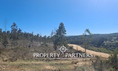 Tunquen, Proyecto Bosque Tunquen Venta Directa SIN COMISION