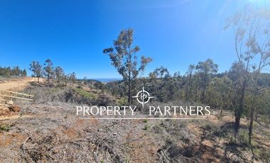 Tunquen, Proyecto Bosque Tunquen Venta Directa SIN COMISION