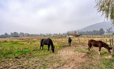 Melipilla, excelente parcela ecuestre