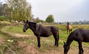 Melipilla, excelente parcela ecuestre