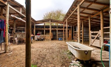 Melipilla, excelente parcela ecuestre