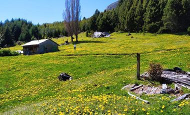 Patagonia, 216ha campo cercano a Villa Mañihuales