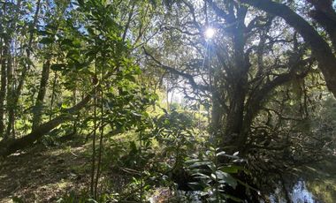 Terreno con borde río