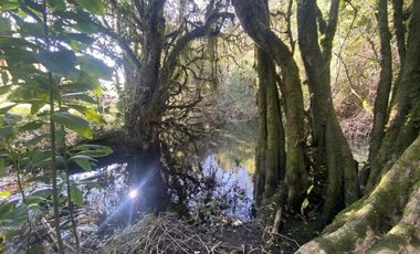 Terreno con borde río