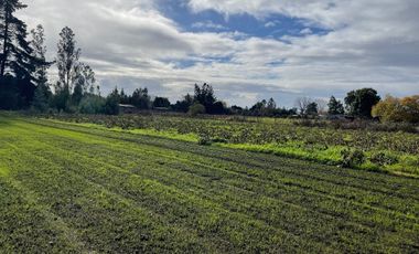 Terrenos a  orilla del rio Cautin