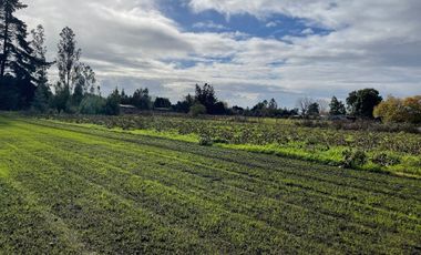 Terrenos a  orilla del rio Cautin
